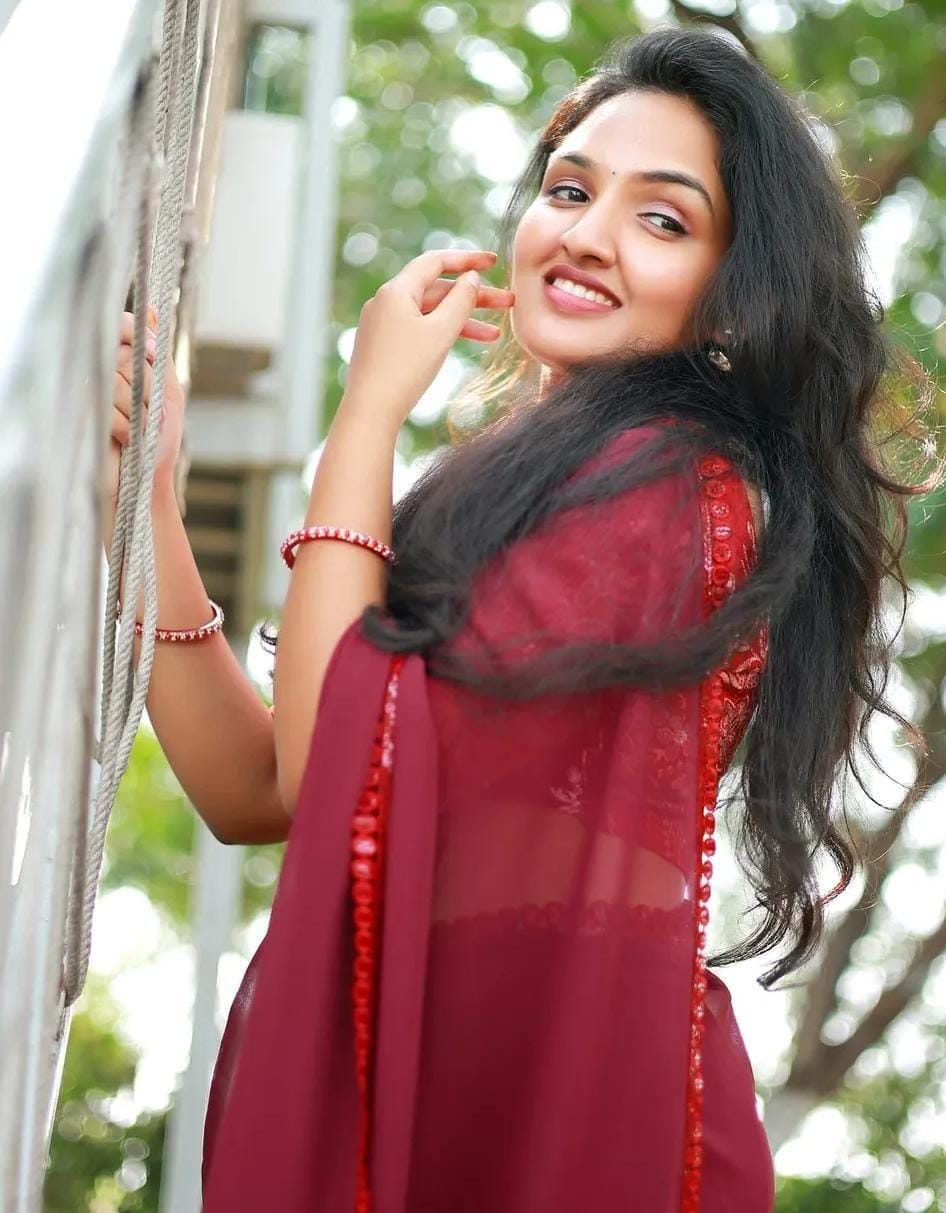 Maroon Georgette Muse Saree