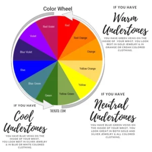 A colour wheel showing warm, cool & neutral undertones